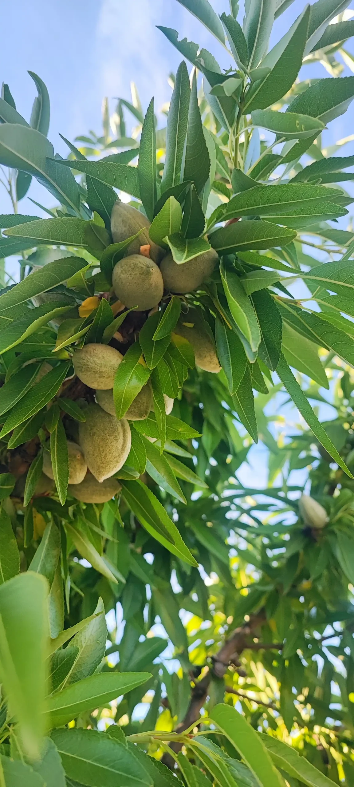 19fbb386-3f3b-4ed9-a4e1-645654e8d45c